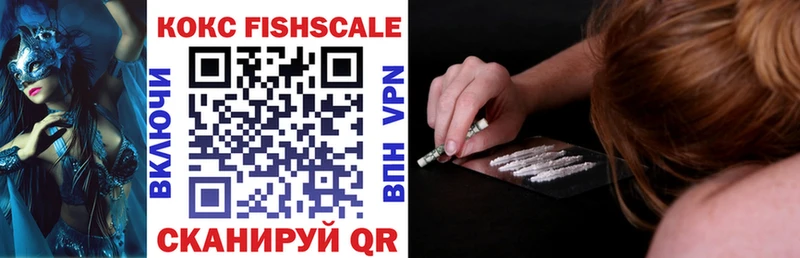 Cocaine Fish Scale  где купить наркоту  Западная Двина 