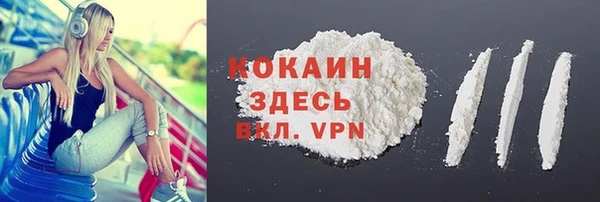 винт Верея