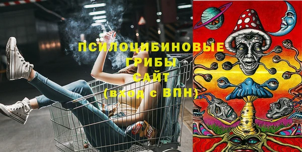 винт Верея